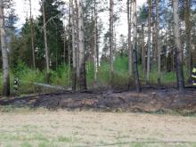 Uwaga na wysokie zagrożenie pożarowe w lasach